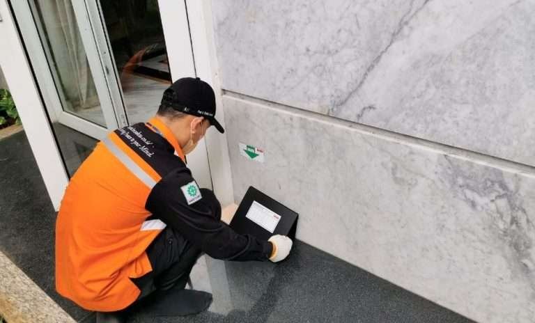 Read more about the article Pembasmi Hama