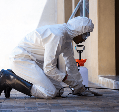 Pest Control Profesional