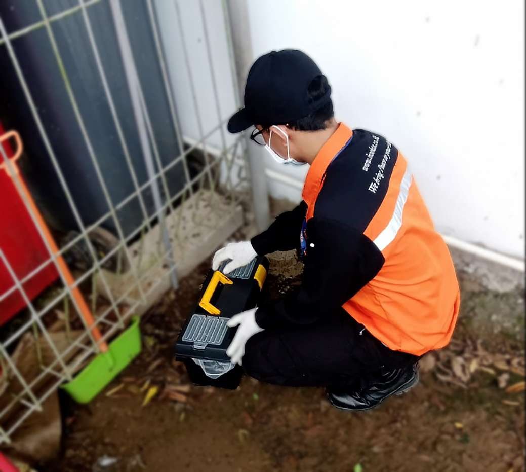 Read more about the article Manfaat Menggunakan Jasa Pembasmi Rayap Surabaya