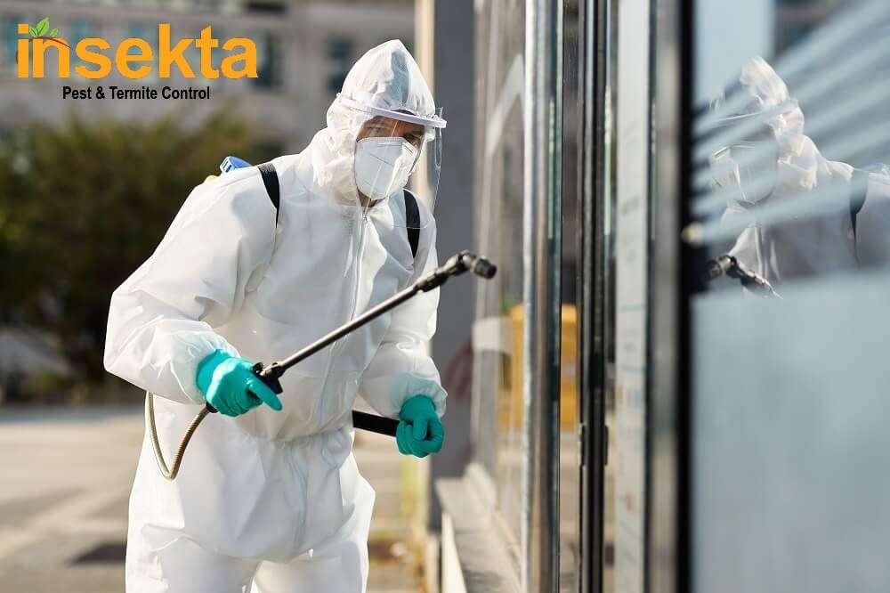 Pest Control Insekta