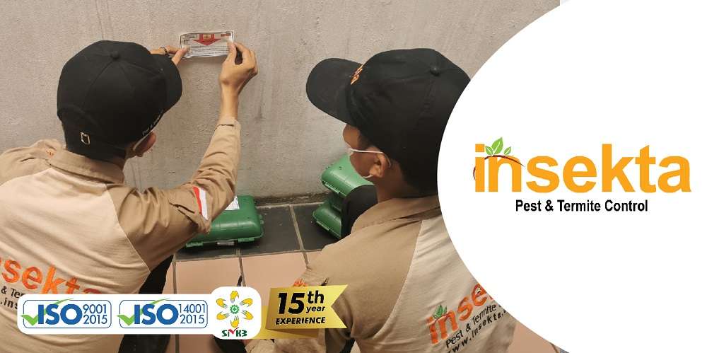 Jasa pembasmi tikus - insekta pest control