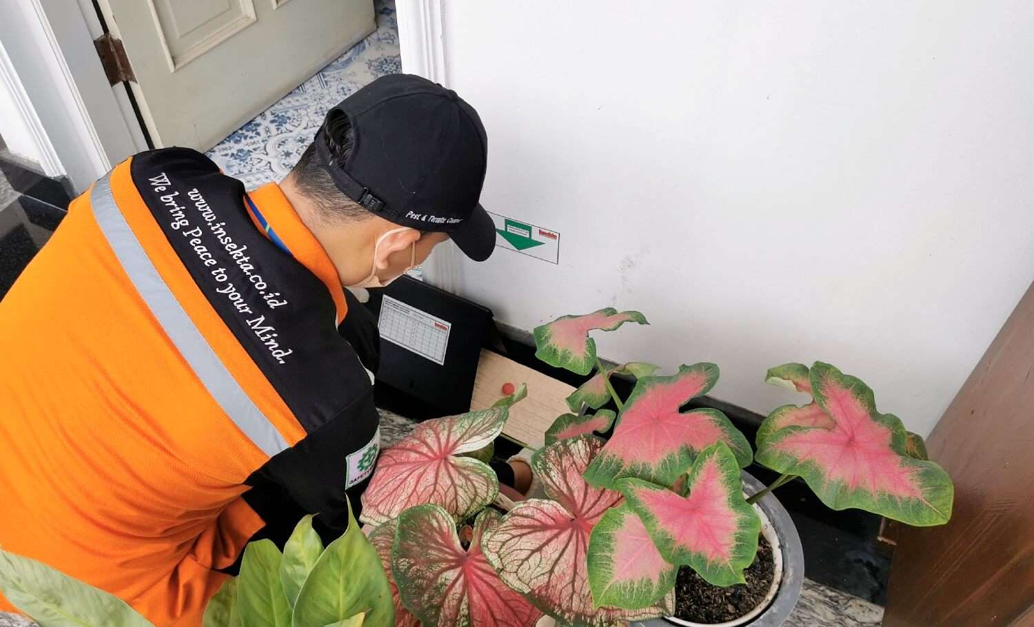 jasa pembasmi tikus di Semarang