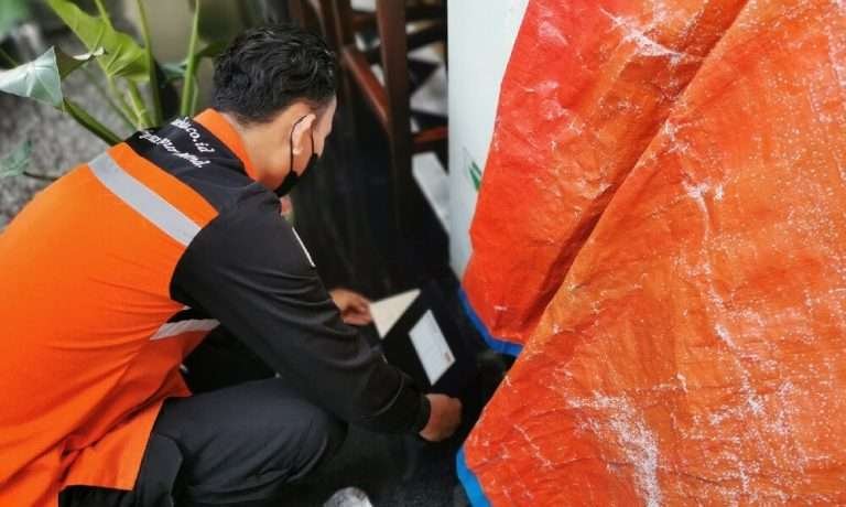 Read more about the article Jasa Pembasmi Tikus di Jakarta