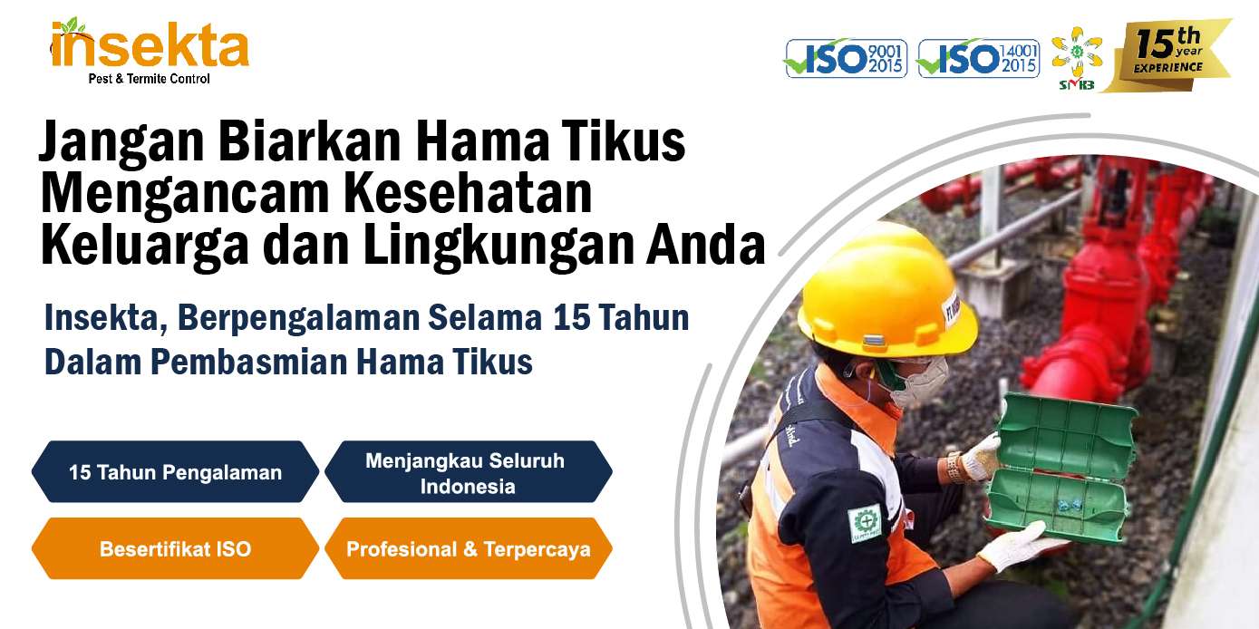 Jasa pembasmi tikus di bogor - Insekta Pest Control