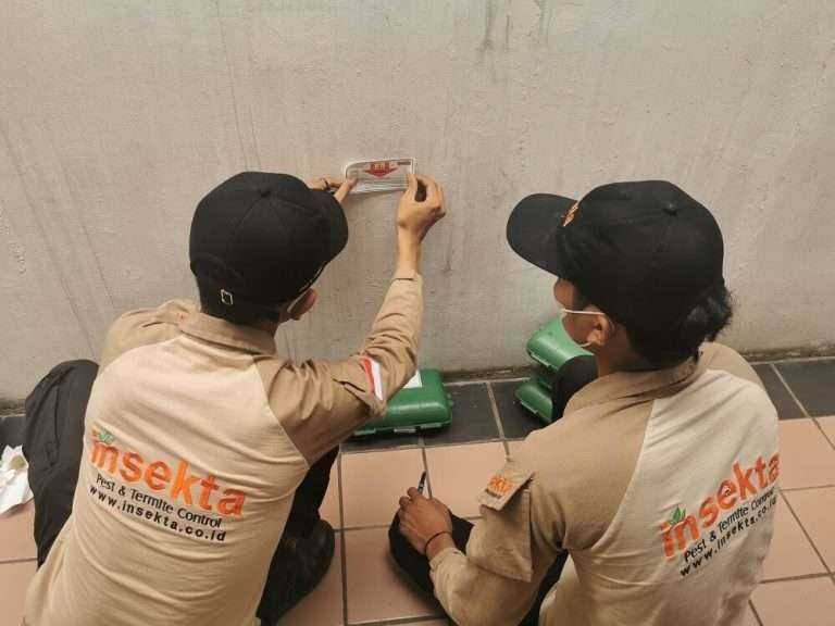 Read more about the article Jasa Pest Control di Pekanbaru