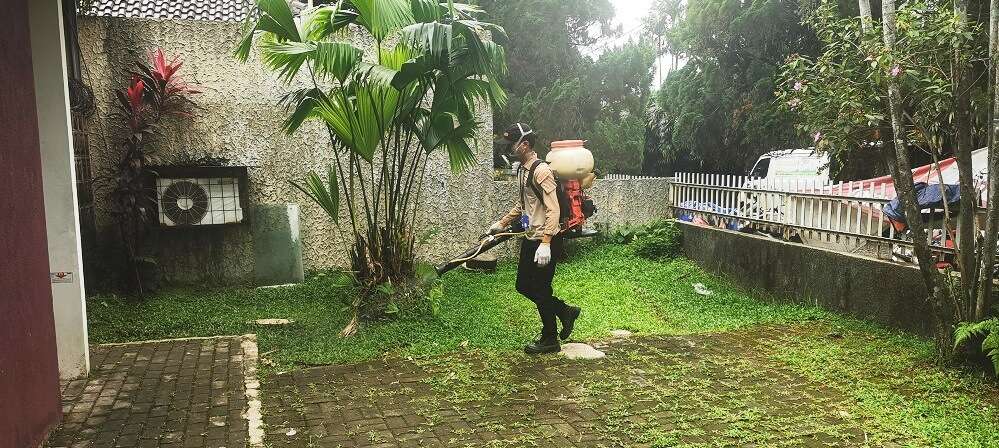 Jasa Pest Control di Medan