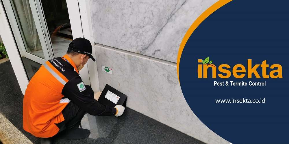 jasa pest control di bekasi