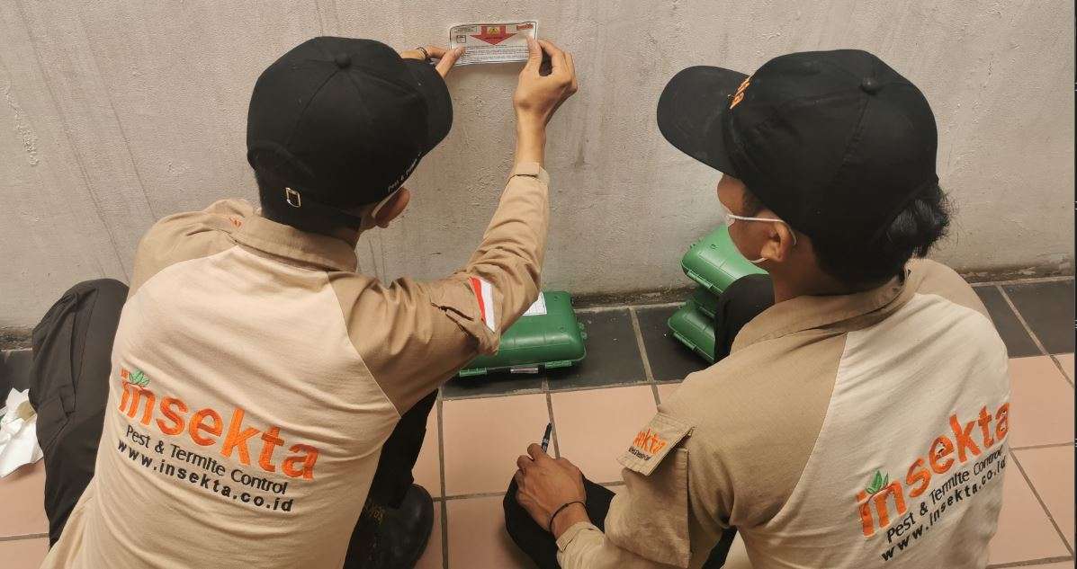 Jasa pest control di Depok