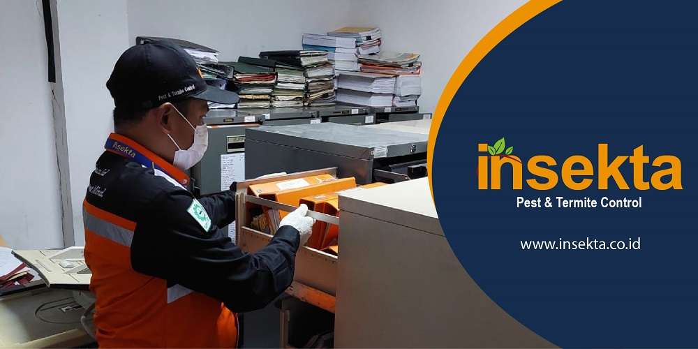 Jasa pest control di Depok