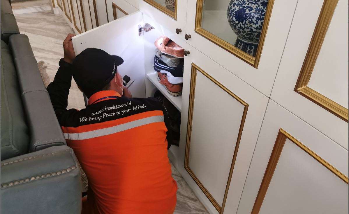 jasa pest control di bekasi