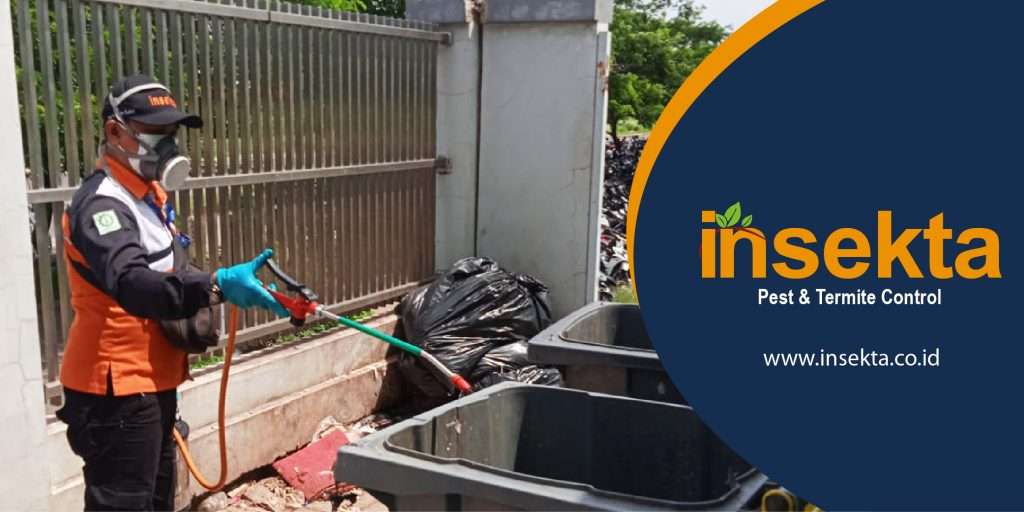 jasa pest control di Bali