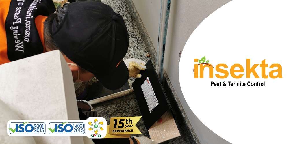 jasa pest control di semarang