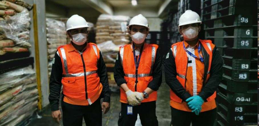 bali pest control