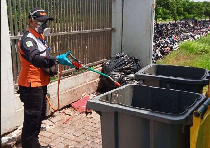Bali pest control