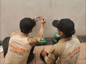 apa itu pest control