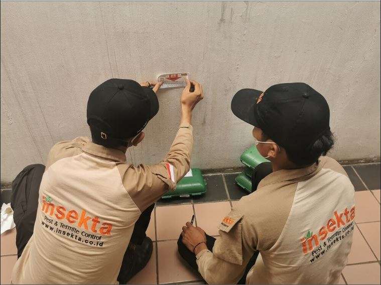 apa itu pest control