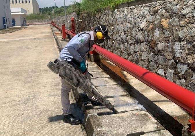 Pest control Bali