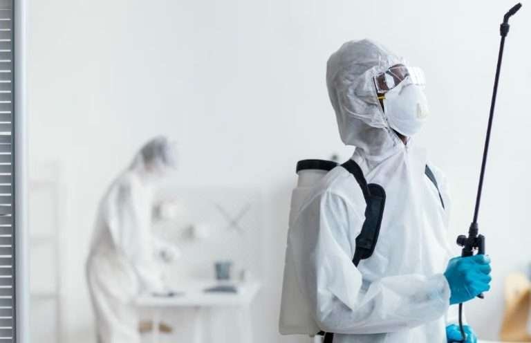 Read more about the article Apa itu Jasa Pest Control? Inilah Pentingnya Pengendalian Hama