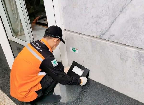 jasa pest control Insekta