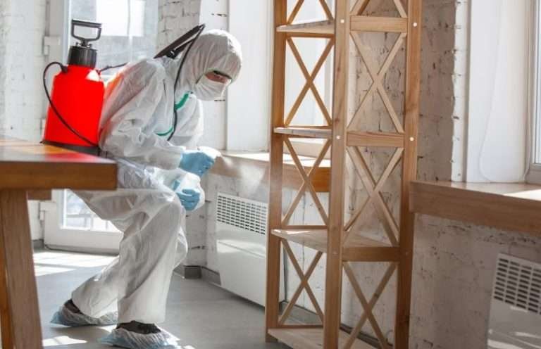 Read more about the article Panduan Lengkap 7 Cara Membasmi Rayap Pada Furniture Rumah Anda