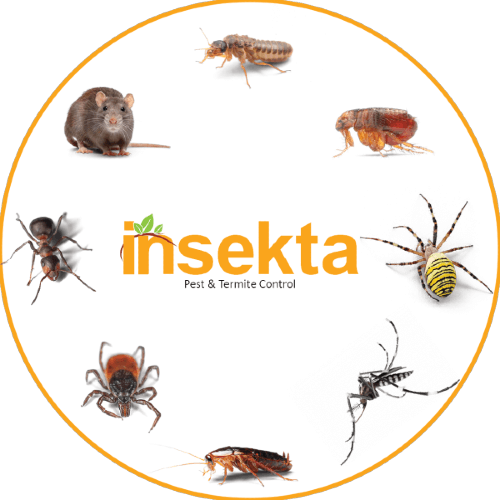 pest management Insekta