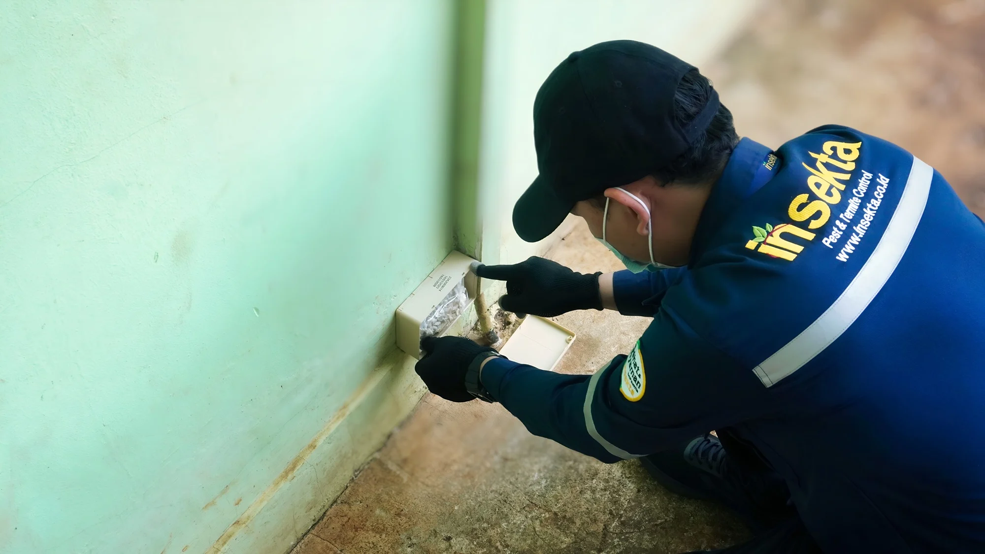 jasa anti rayap insekta