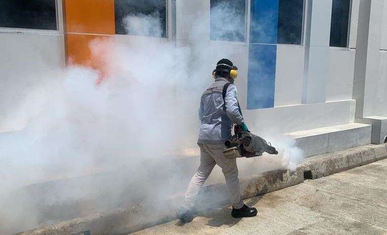 fogging nyamuk oleh Insekta