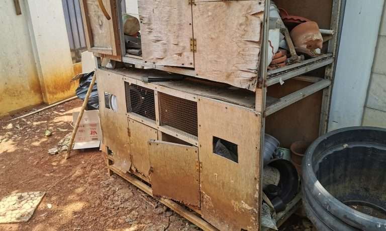 Read more about the article Menjaga Lingkungan dari Kederadaan Hama