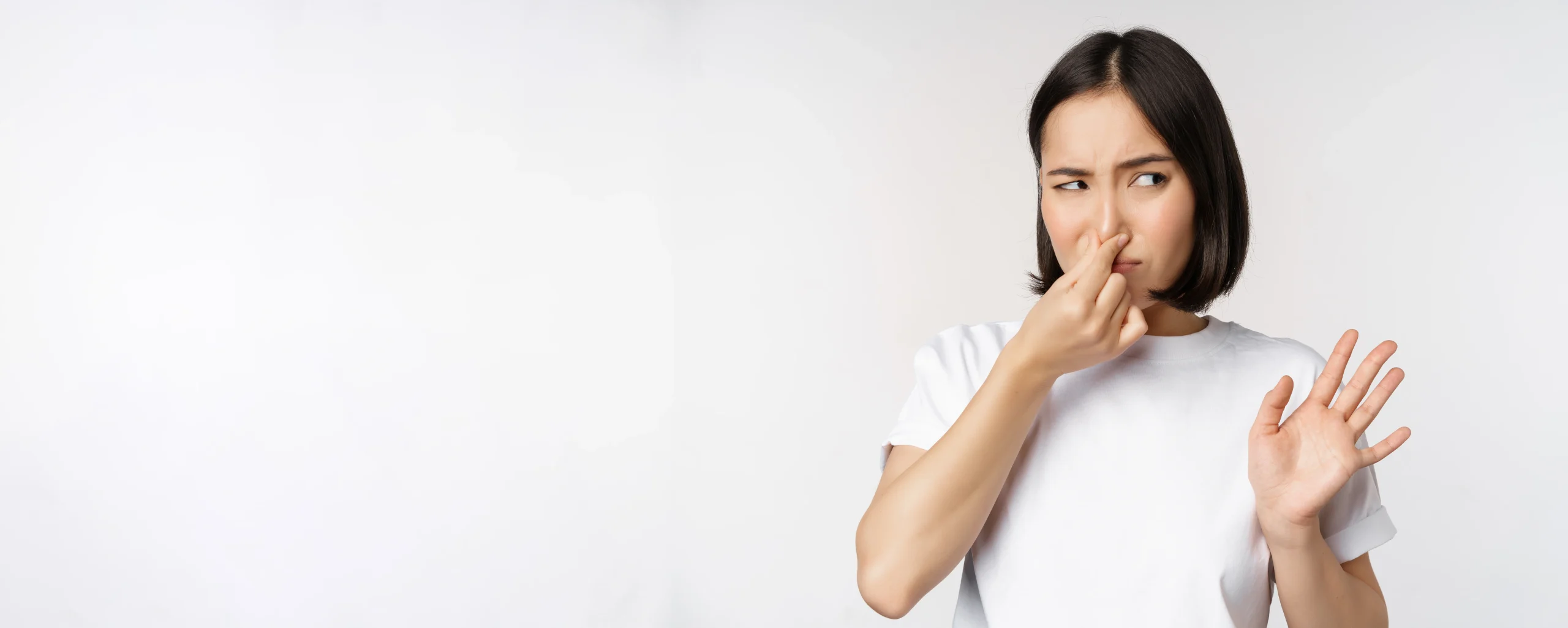 You are currently viewing Bagaimana cara menghilangkan bau hama?