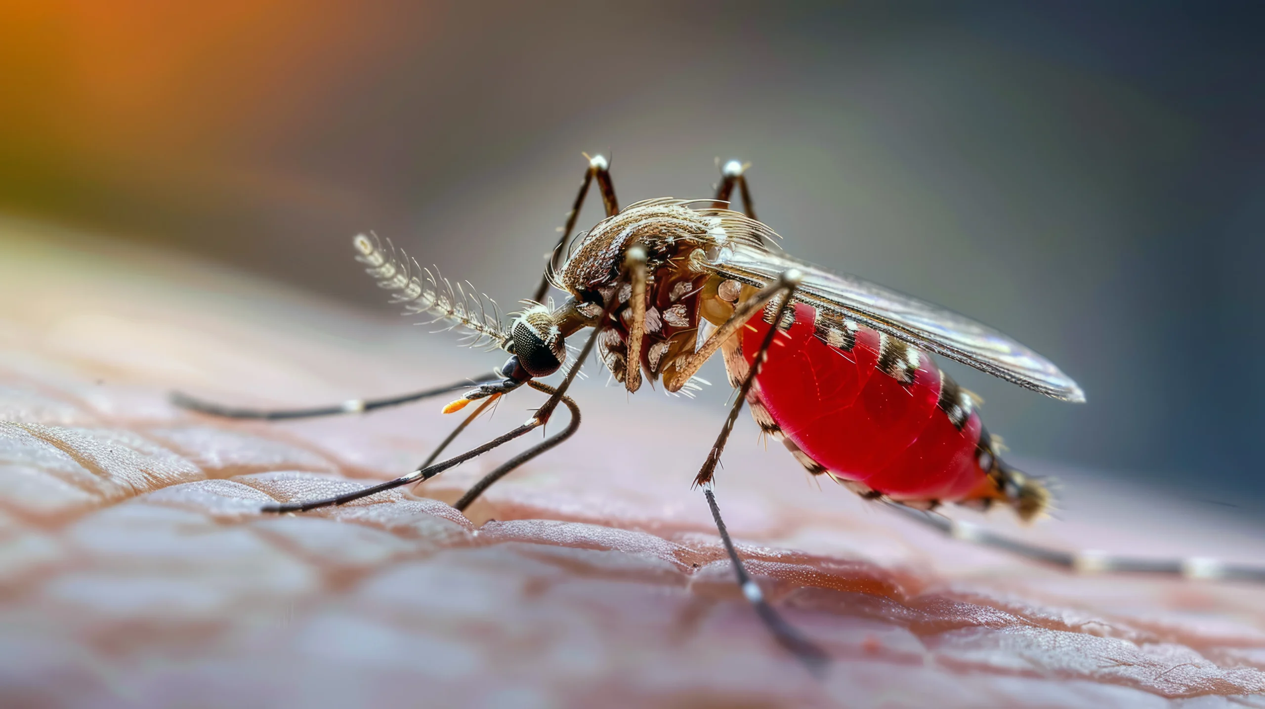 Read more about the article Apakah Nyamuk Takut dengan Handbody?