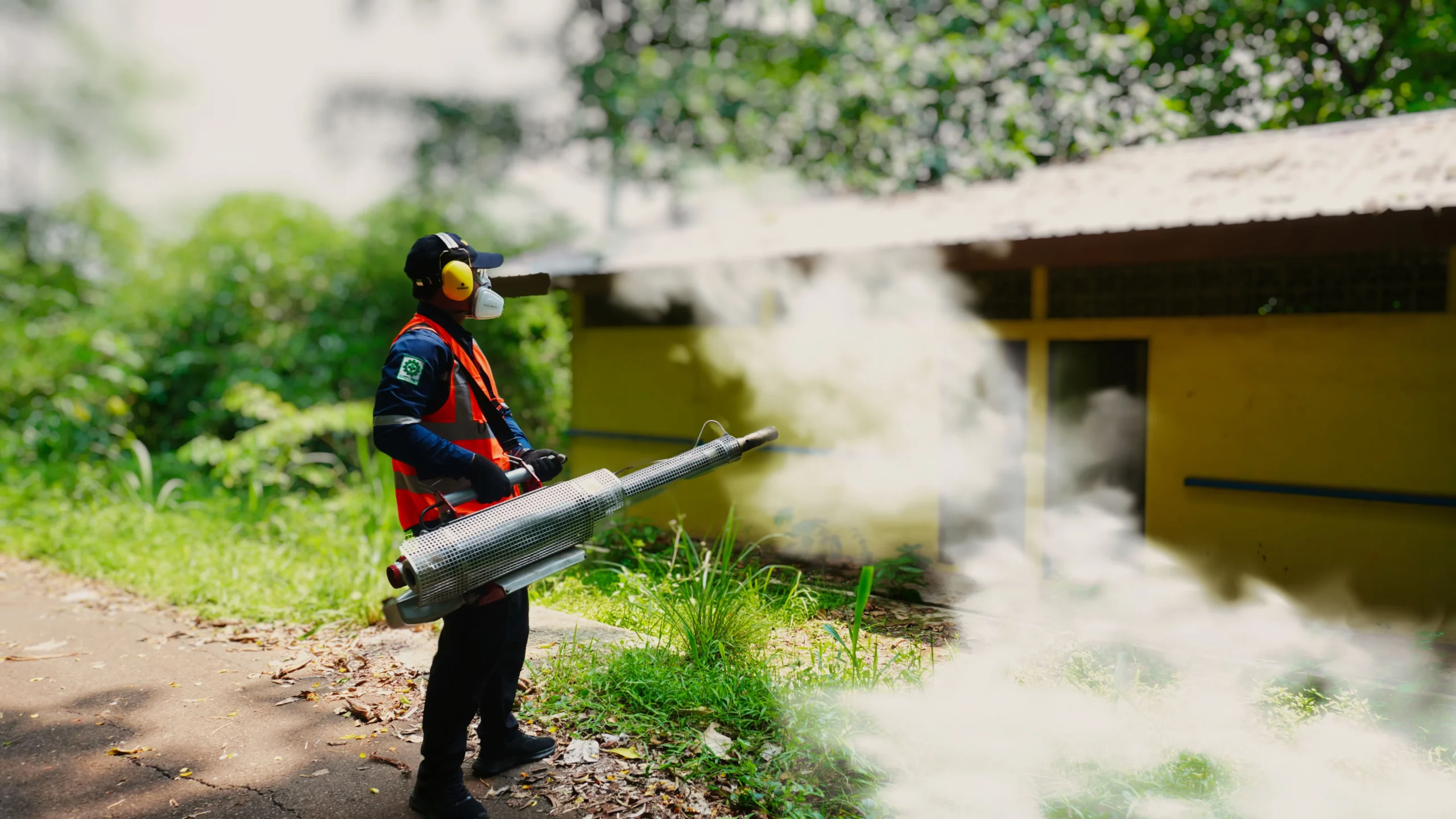 Layanan pembasmi nyamuk