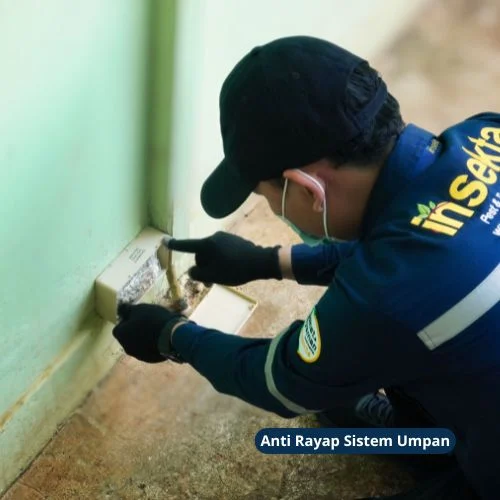 Anti Rayap Sistem Umpan