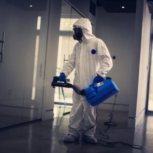 Jasa Disinfeksi Insekta