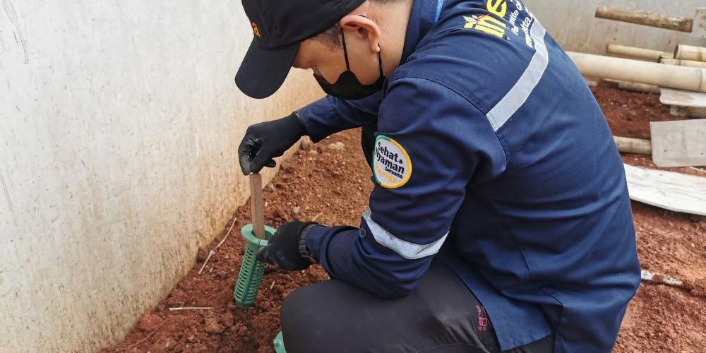 Monitoring rayap In Ground