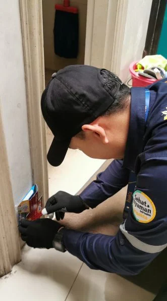 treatment basmi kecoa Insekta