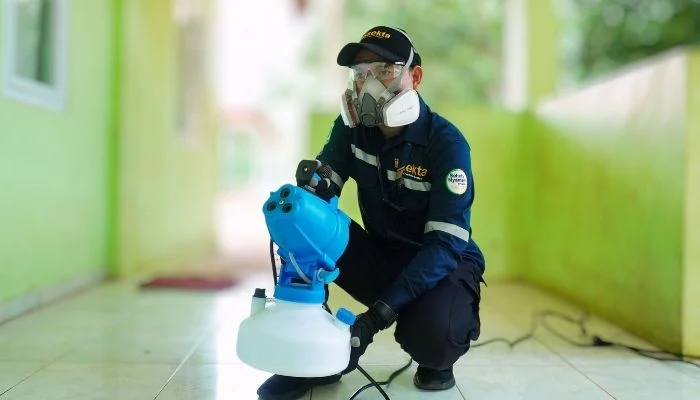 Jasa Pest Control Profesional