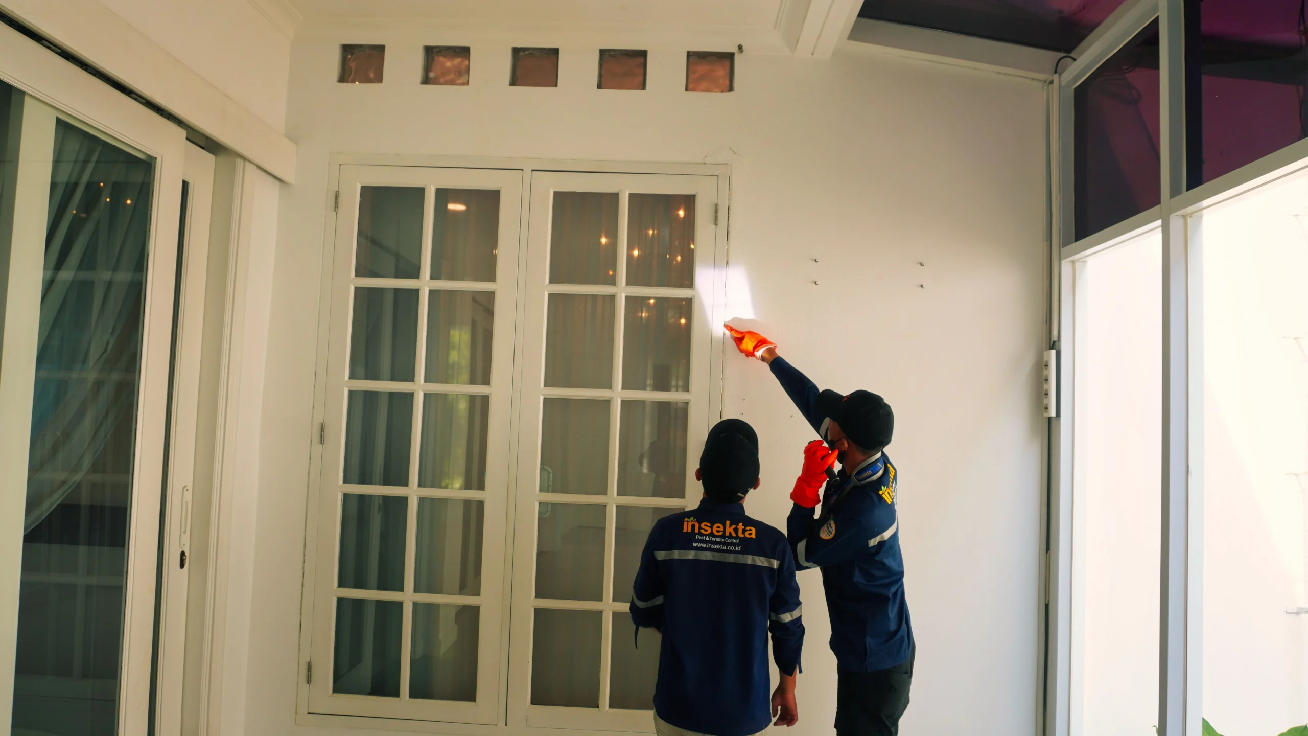 Layanan Pembasmi Hama Insekta 