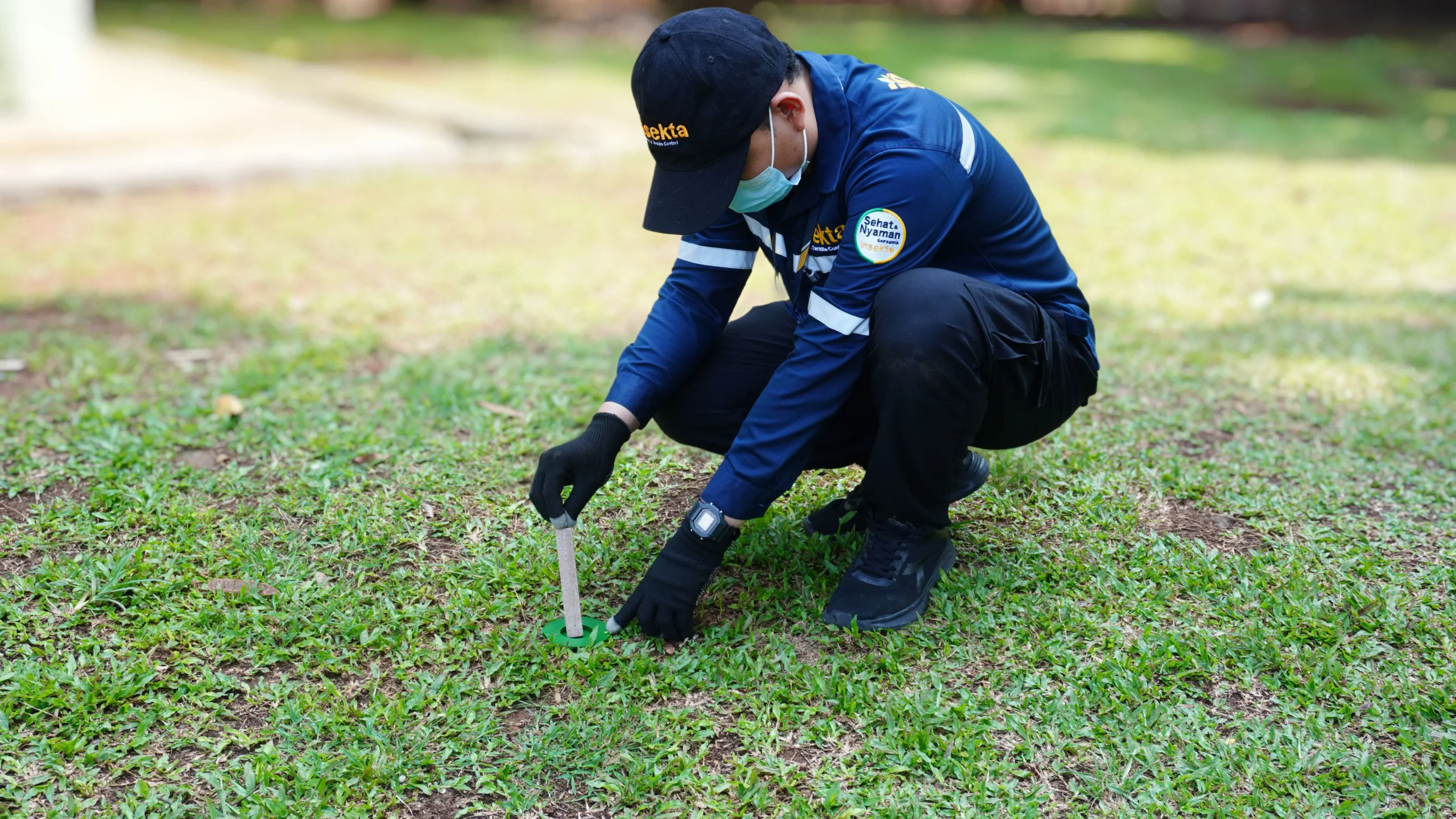 Metode Pembasmi Rayap 