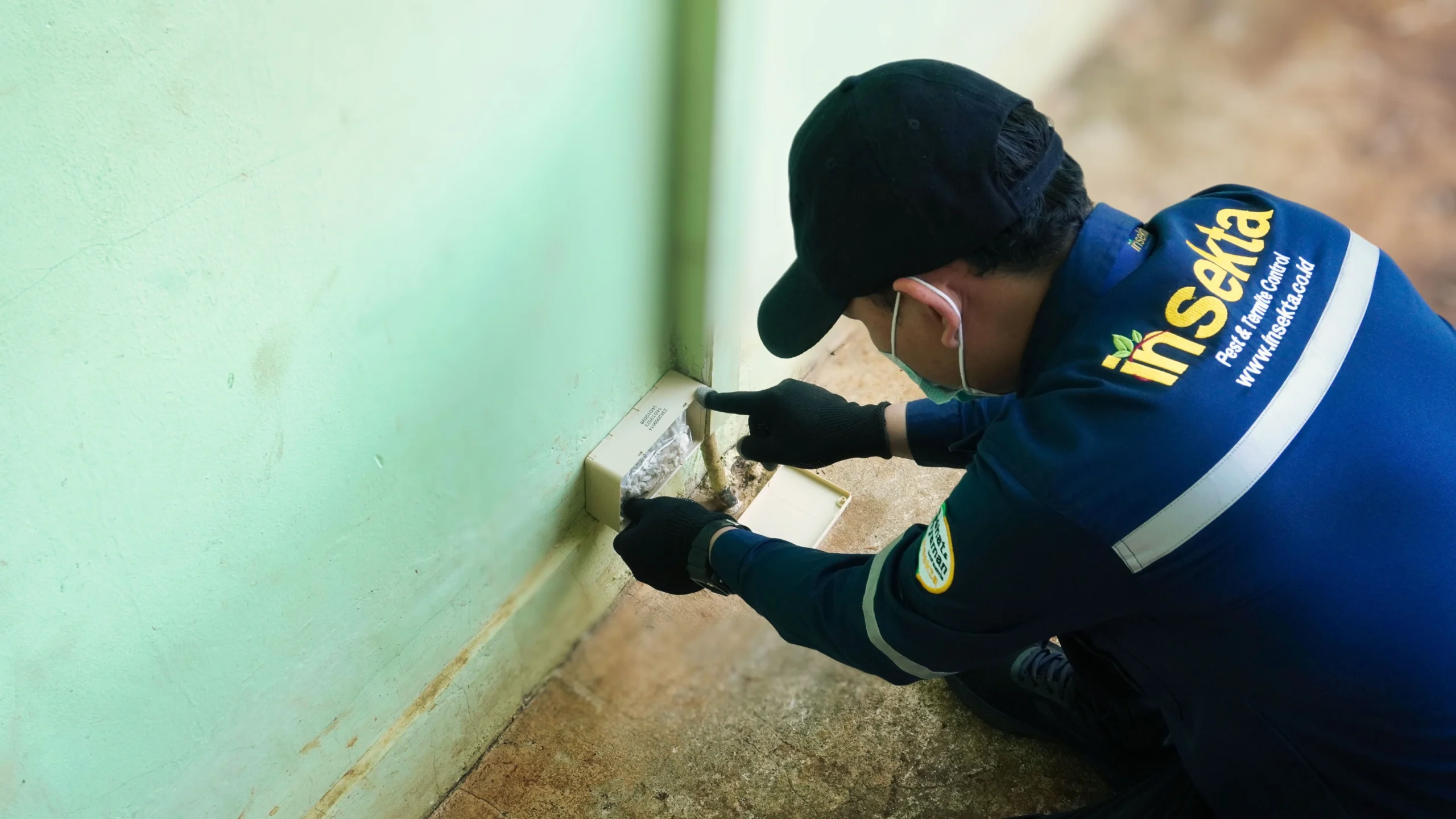 Metode Pembasmi Rayap 