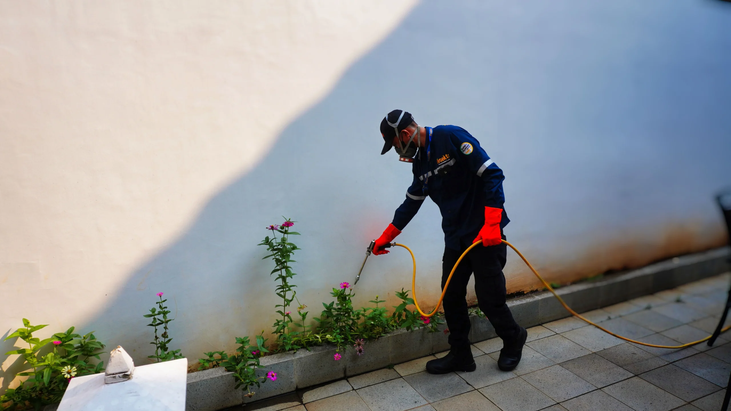 Metode Pembasmi Rayap