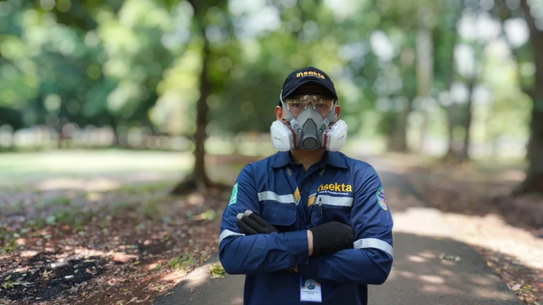 Insekta Pest Control