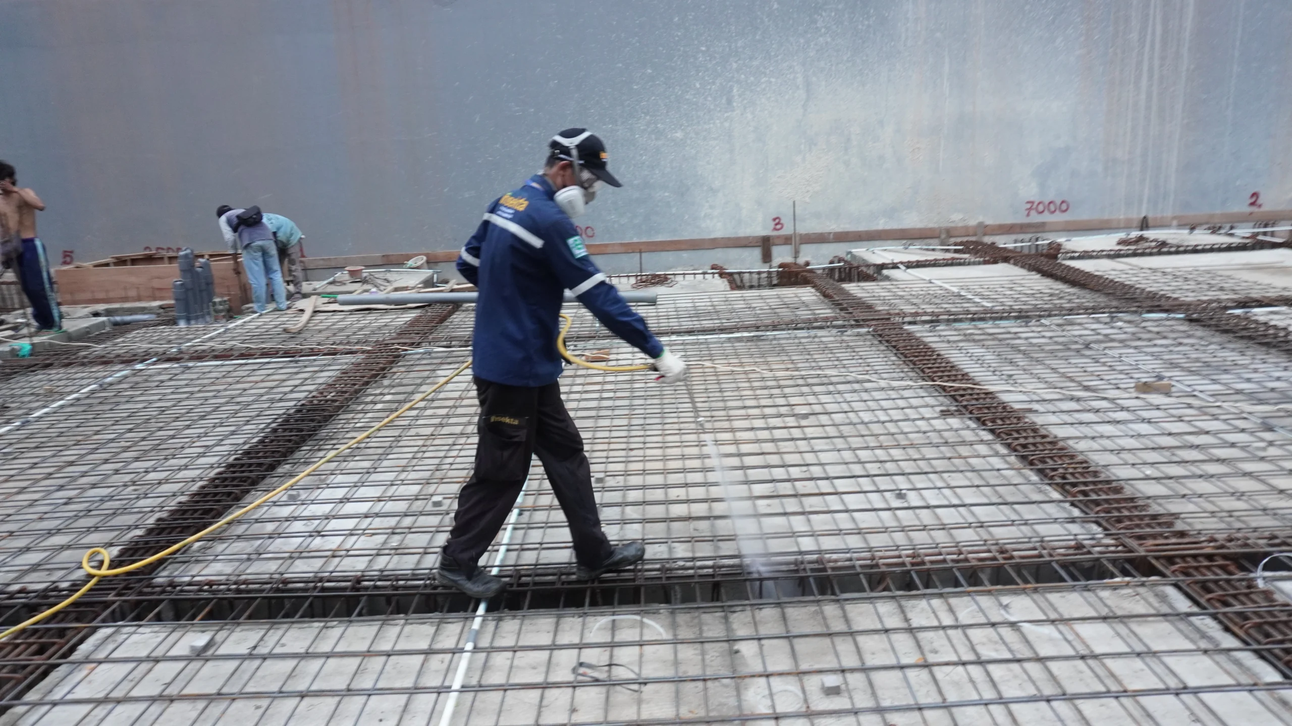 Metode Pembasmi Rayap 