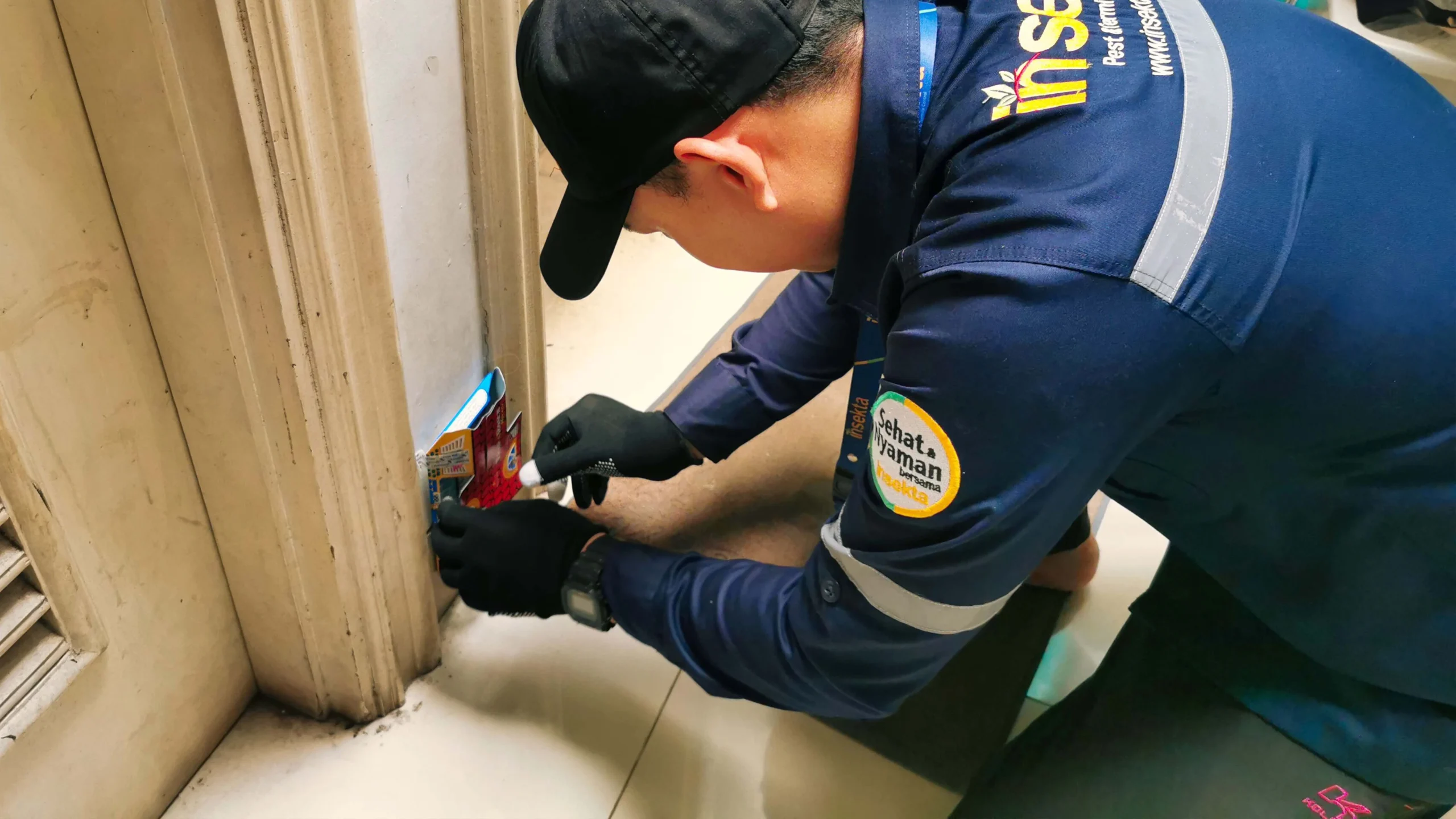Layanan pest control Insekta