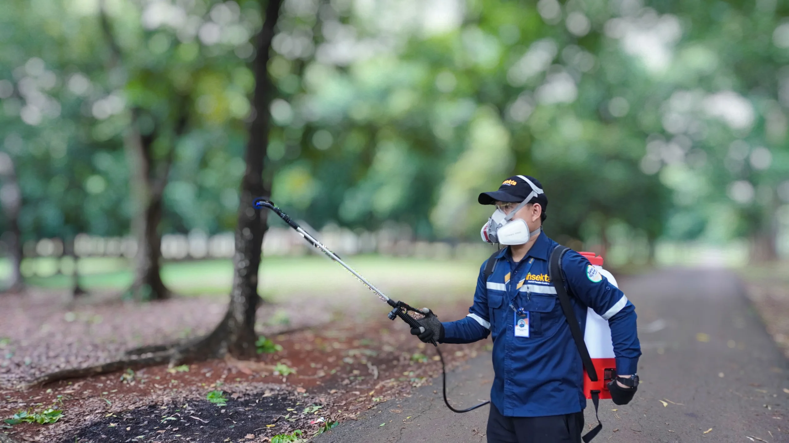 Layanan pest control Insekta