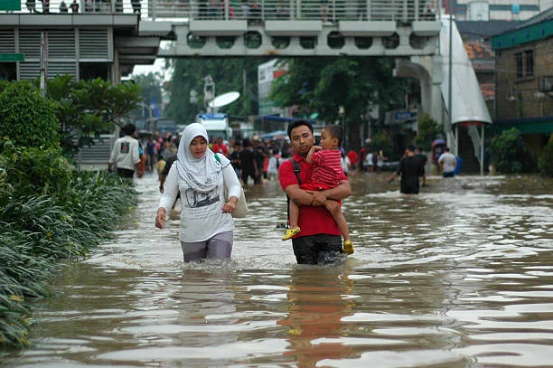daftar penyakit akibat hama banjir