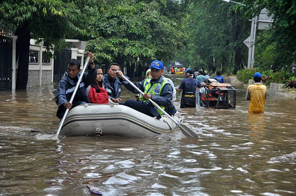 daftar penyakit akibat hama banjir