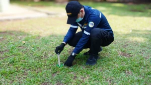 jasa anti rayap insekta