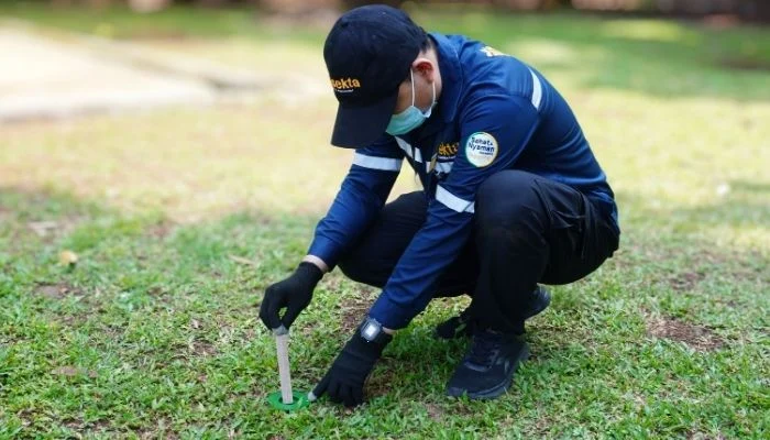 jasa anti rayap insekta sistem umpan
