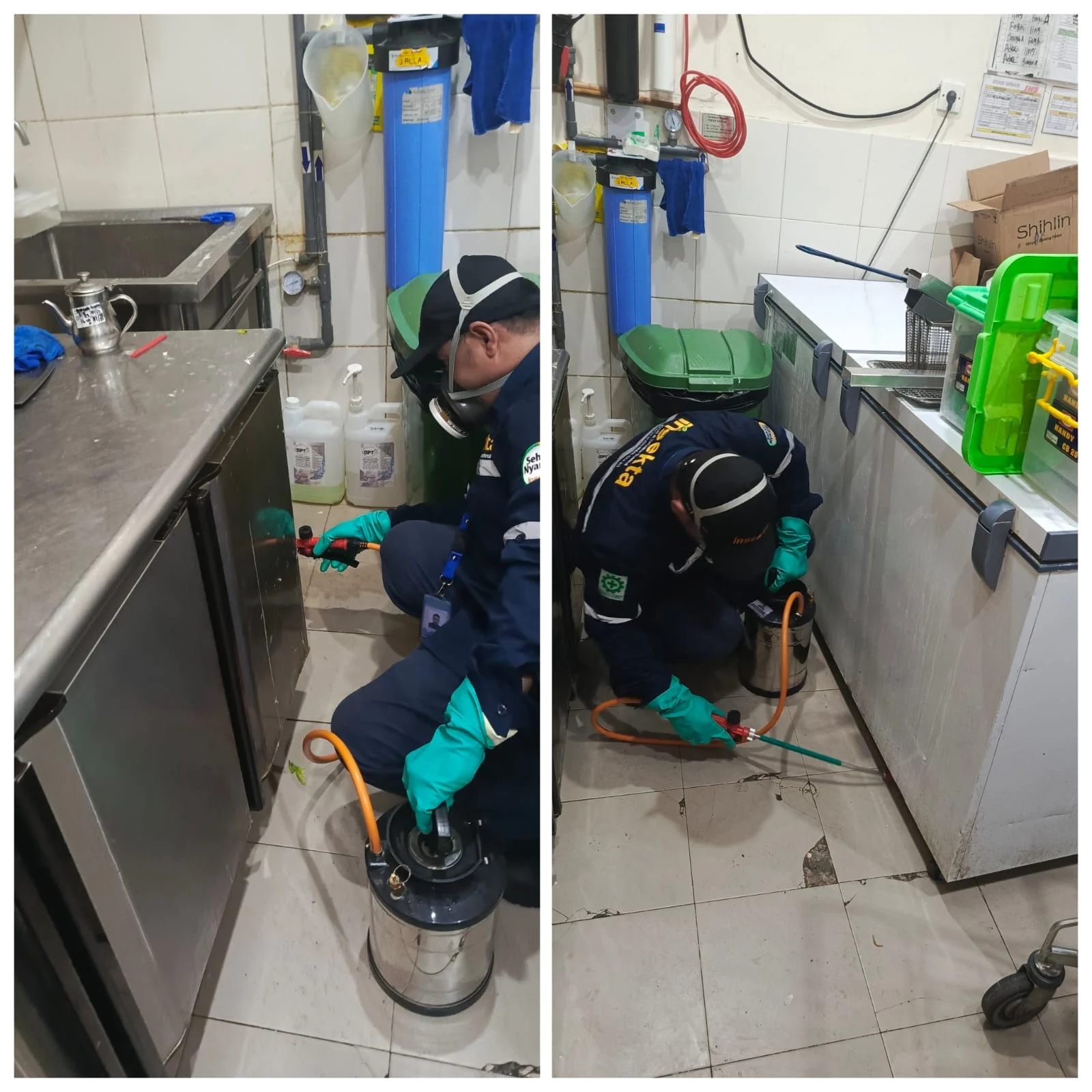 Pest Control untuk Franchise Restoran