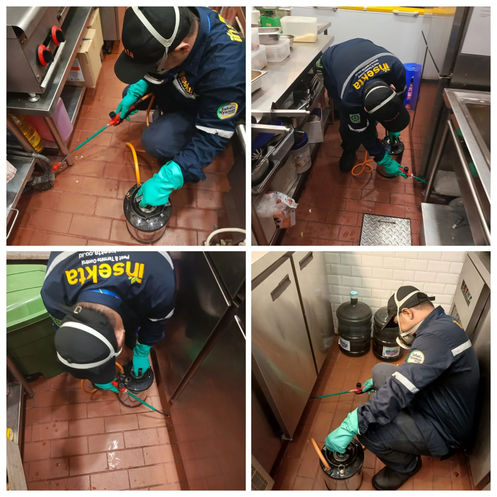 pest control dapur restoran